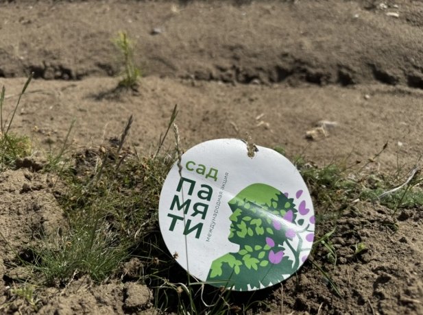 Фото: Минлес Хакасии