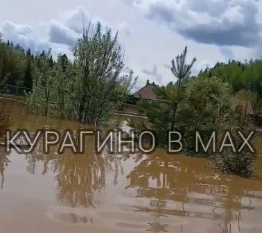 Стоп-кадр видео "Объявления Курагино"