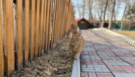 Фото: АДИ19