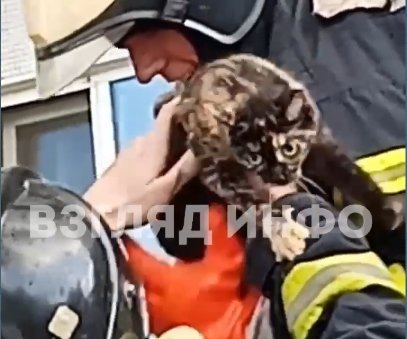 Фото: Стопкадр видео "Взгляд Инфо"