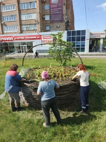 Фото: Абаканское парковое хозяйство