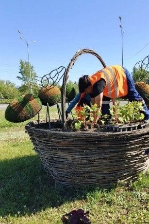 Фото: Абаканское парковое хозяйство