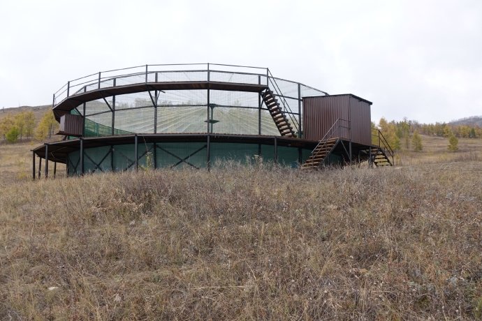 Фото: Заповедник «Хакасский»