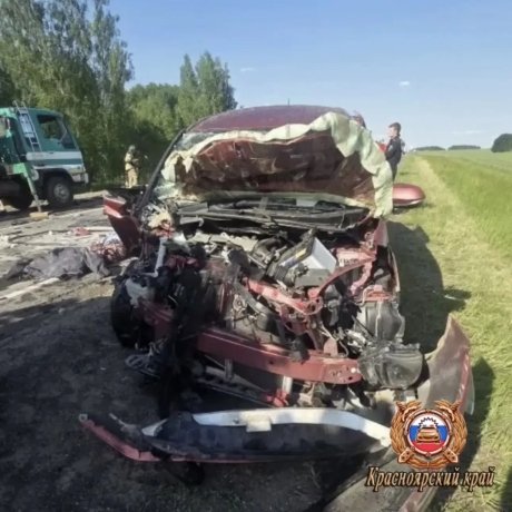 Фото: МВД по Красноярскому краю 