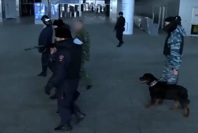 Фото: стоп-кадр видео Следкома России