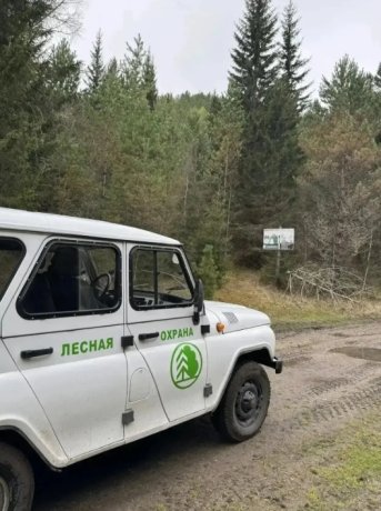 Фото: Минлес Хакасии