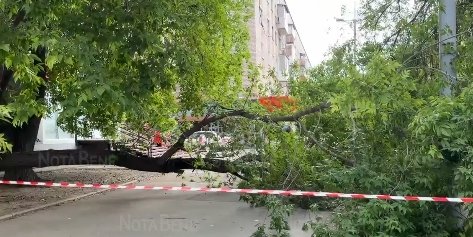 Фото: Стопкадр видео NotaBene