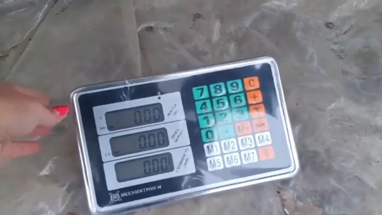 Фото: Стопкадр видео Минприроды Хакасии