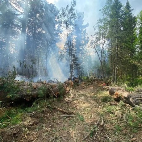 Фото: Минлес Хакасии 
