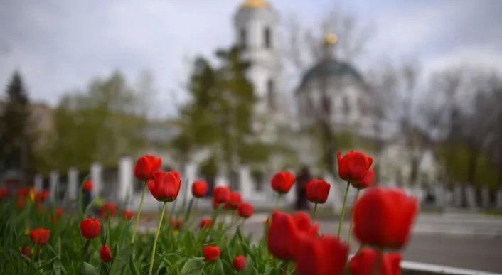Фото: Царьград