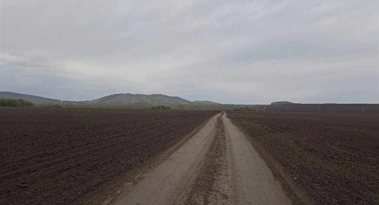 Фото: Алексей Кириченко 