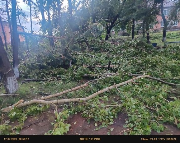 Фото: Рустам Салимов / ВКонтакте 
