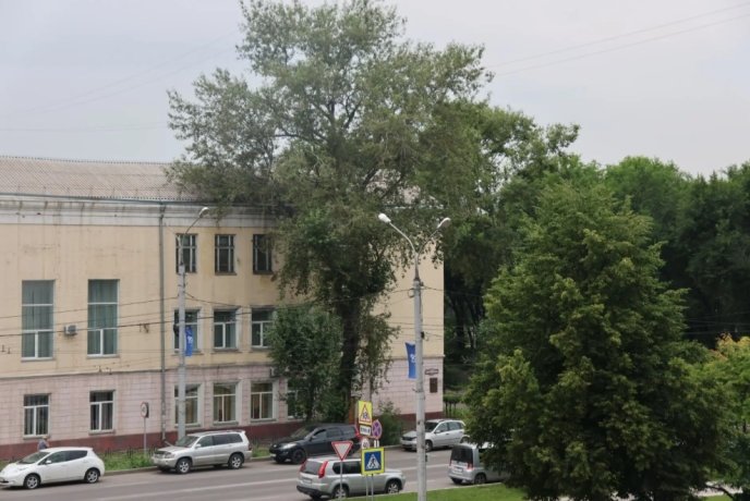 Фото: Администрация Абакана