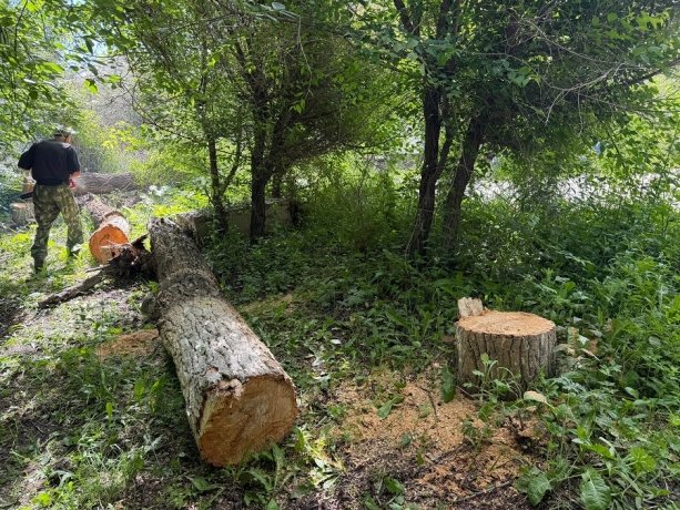 Фото: со страницы Марины Гурай в ВК