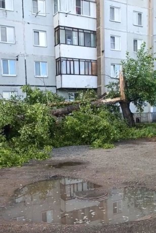 Фото: Елена Гопина / Макс