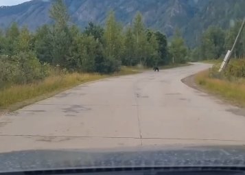 Фото: Стопкадр видео "Саяногорск Главный" / Макс