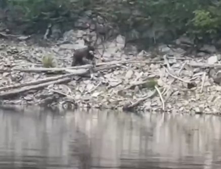 Фото: Стопкадр видео NotaBene