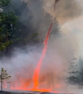 Фото: Стопкадр видео ФБУ «Авиалесоохрана»