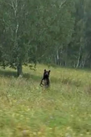 Фото: группа «Боградский район. Хакасия»