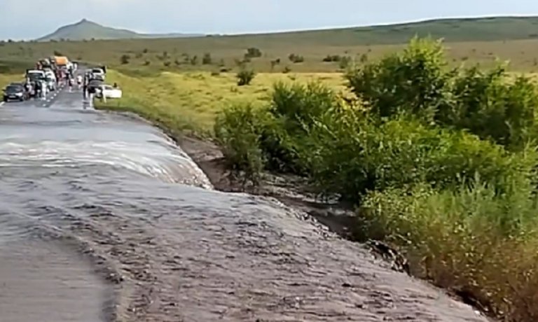 Фото: стоп-кадр видео РТС