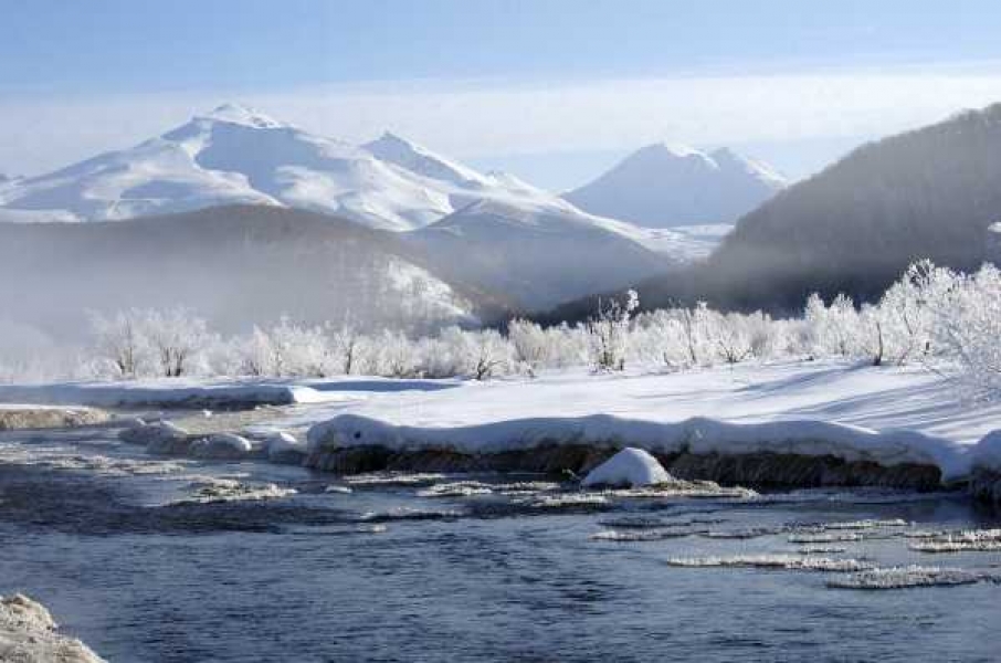 Фото: pixabay.com 