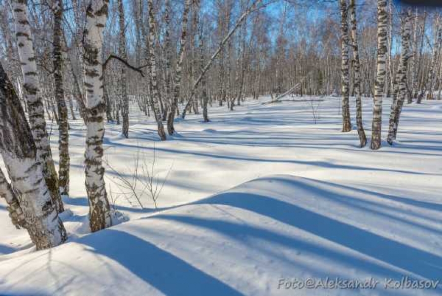 Фото: Александр Колбасов 