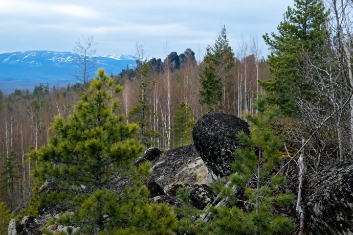 Фото © МАХ / ГСУ СК России по Красноярскому краю и РХ