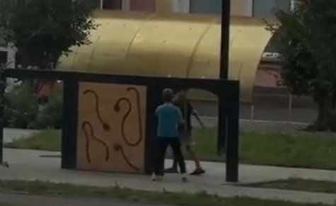 Фото: Стопкадр видео Администрации Черногорска