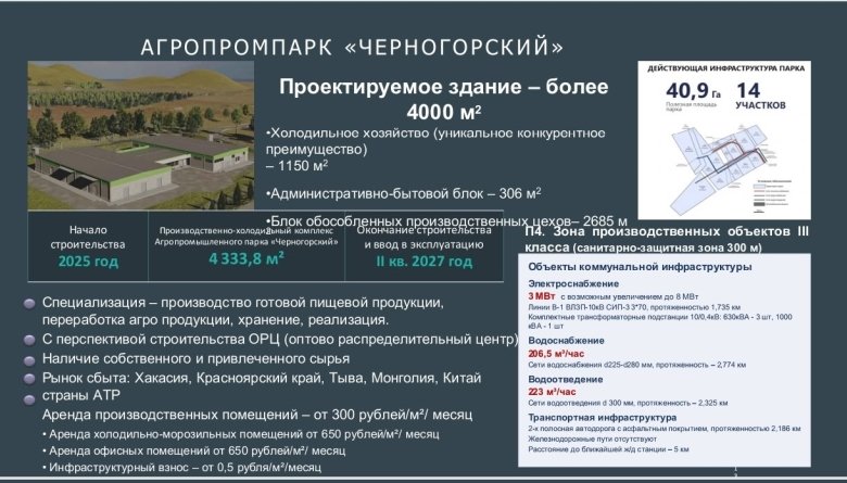 Фото: со страницы Елены Гопиной в ВК