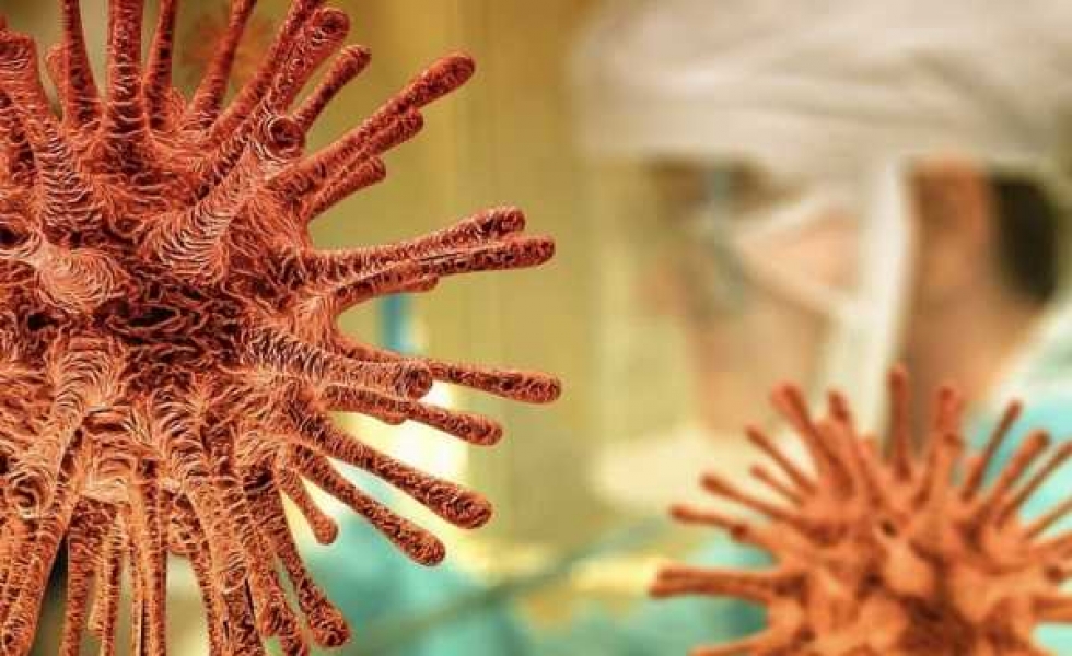 Фото: pixabay.com 