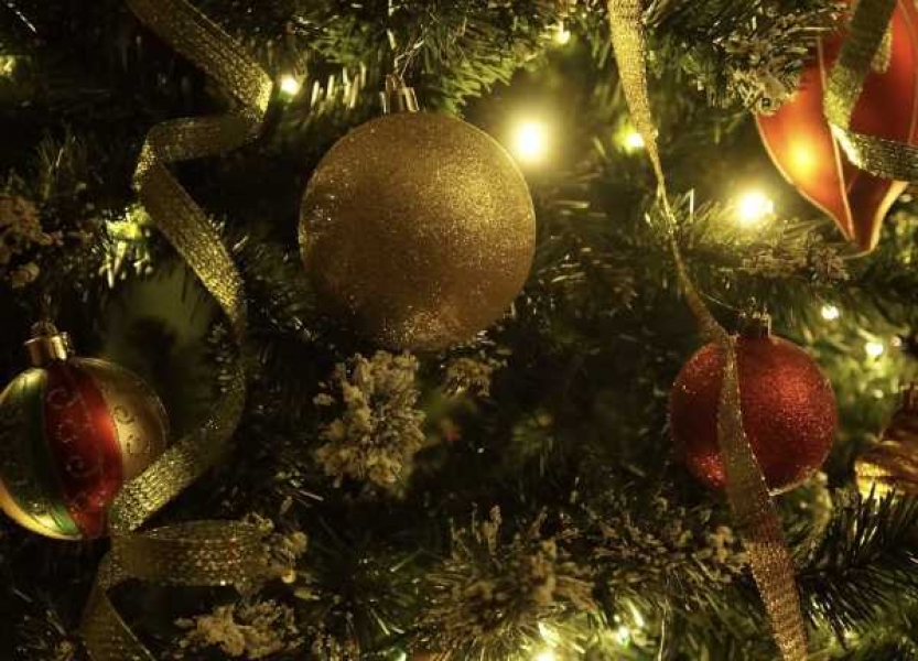 Фото: pixabay.com 