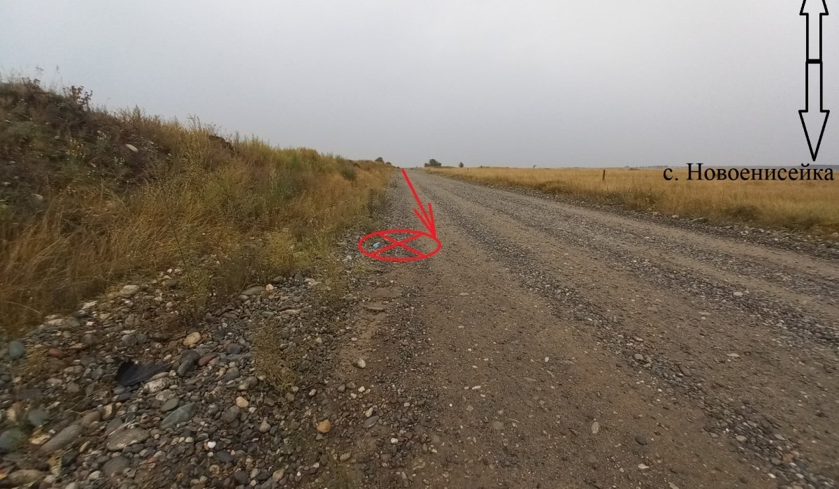 Фото: Госавтоинспекция Хакасии