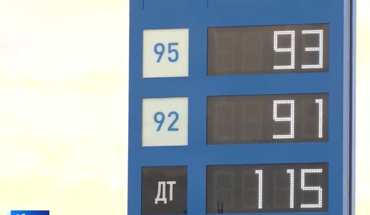 Фото: стоп-кадр программы «Вести - Хакасия»