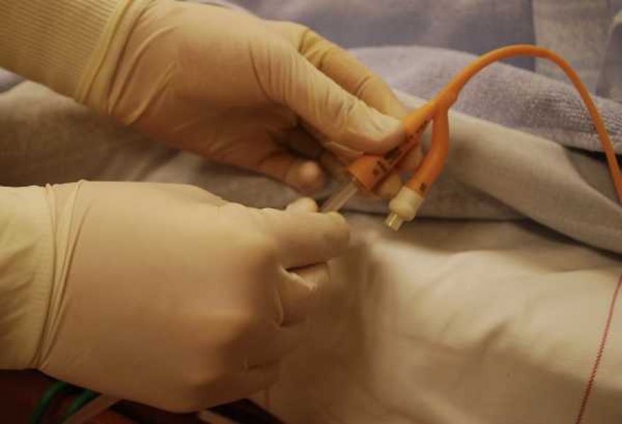 Фото: pixabay.com 