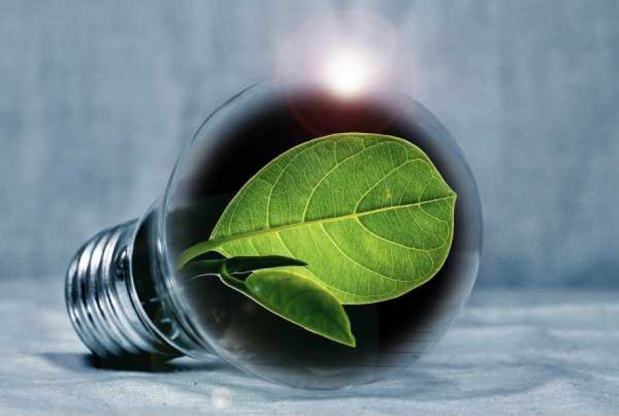 Фото: pixabay.com 