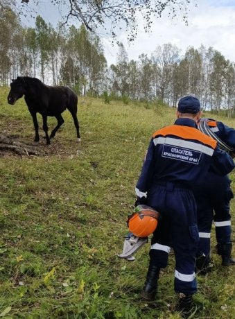 Фото: КГКУ «Спасатель»