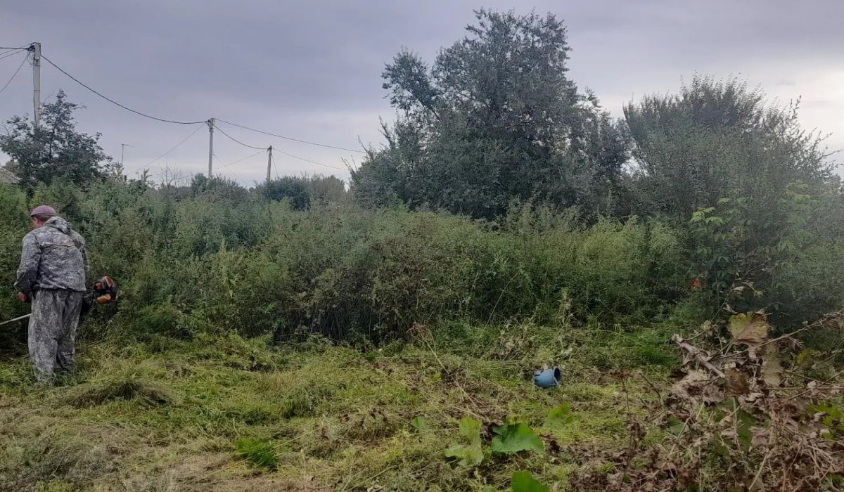 Фото: Марина Петрова