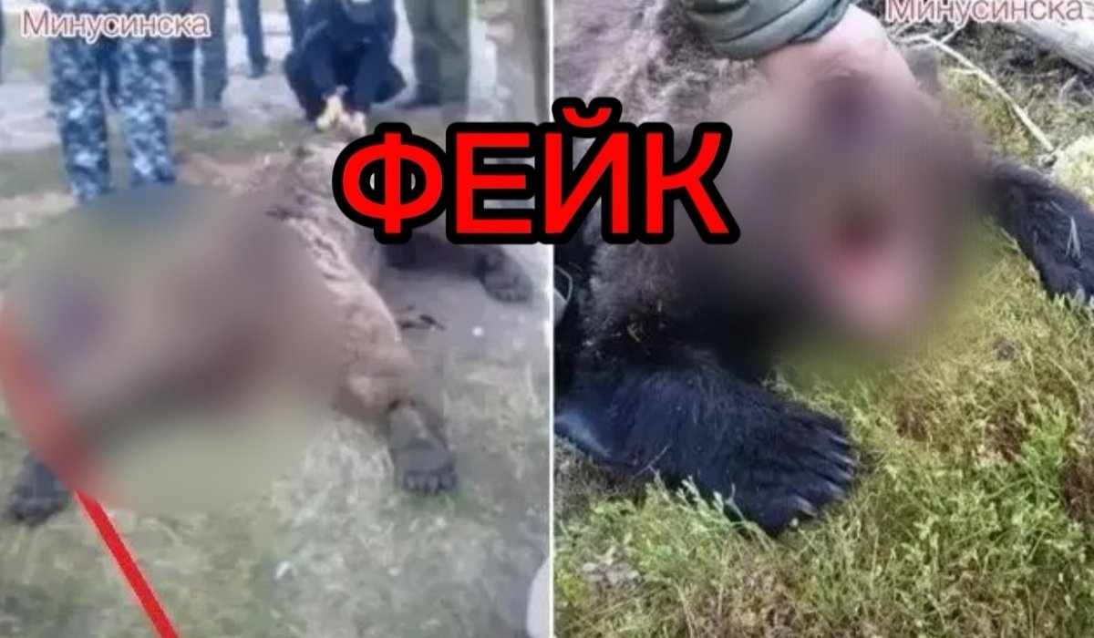 Фото: Администрация Минусинского округа
