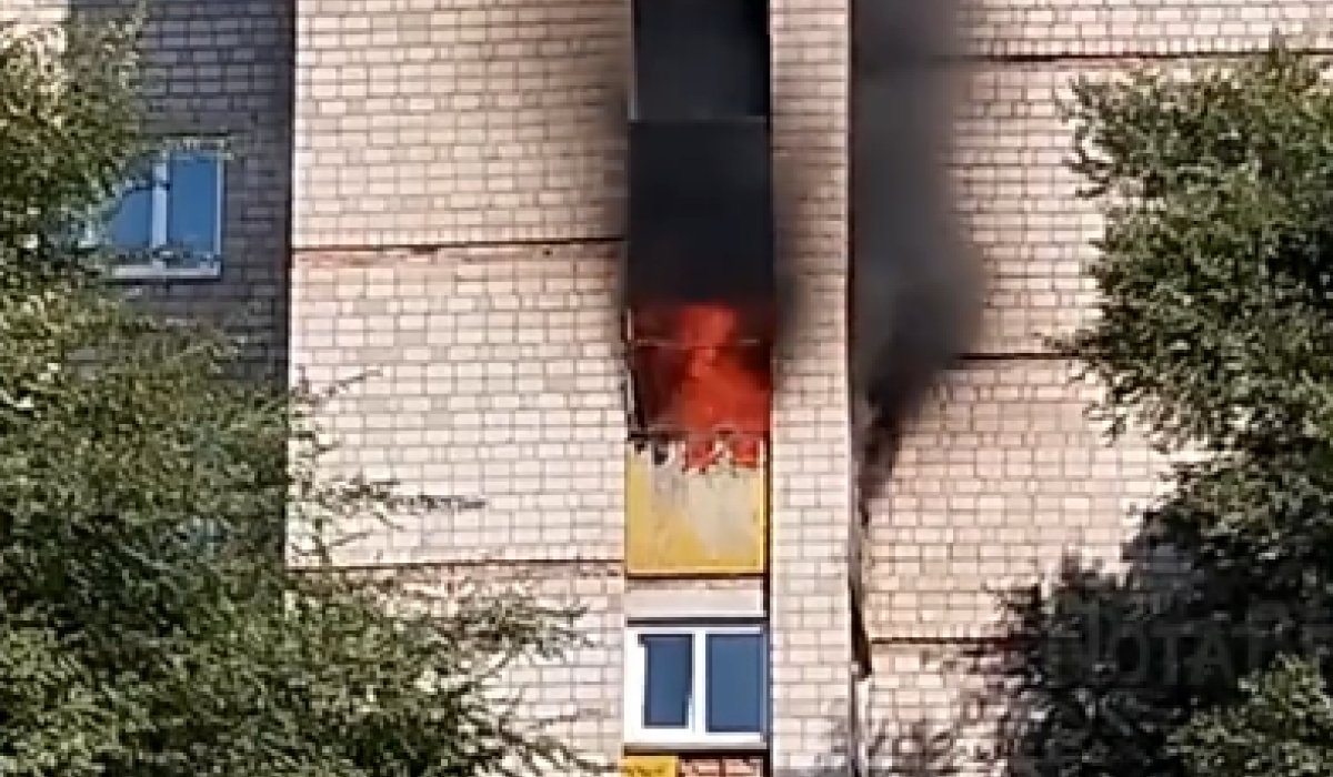 Фото: Стопкадр видео NotaBene