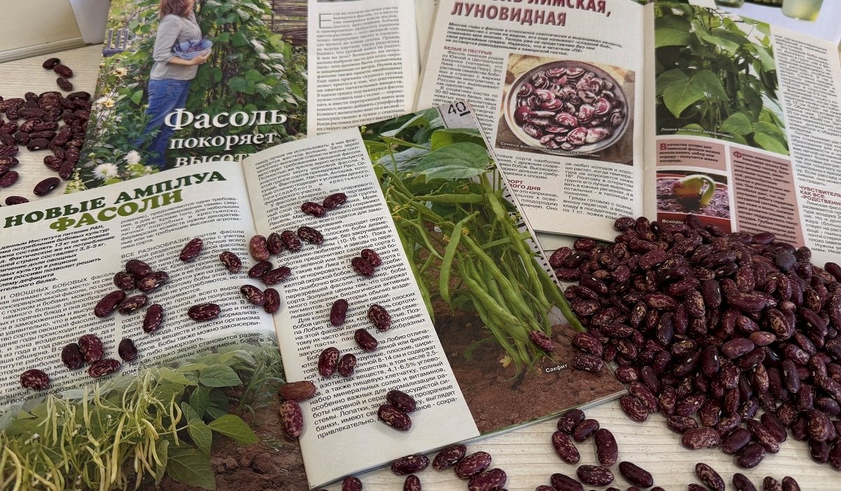 Фото: Национальная библиотека имени Н.Г. Доможакова