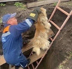 Фото: КГКУ «Спасатель»