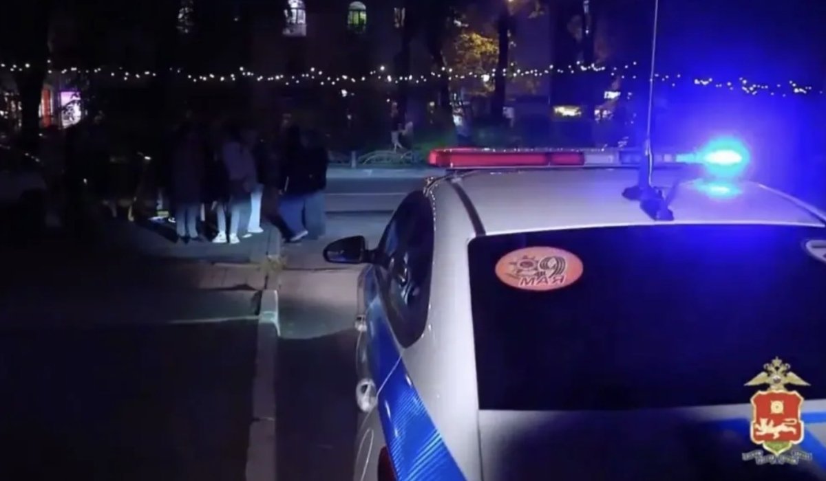 Фото: стоп-кадр видео МВД Хакасии