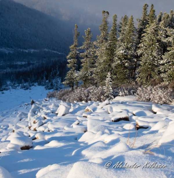 Фото: Александр Колбасов