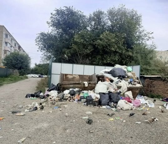 Фото: Марина Петрова 