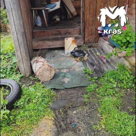 Фото: Kras Mash / Макс