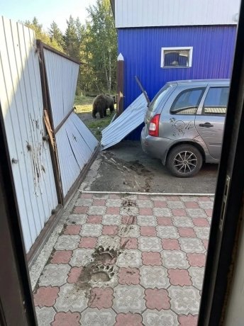 Фото: АДИ19