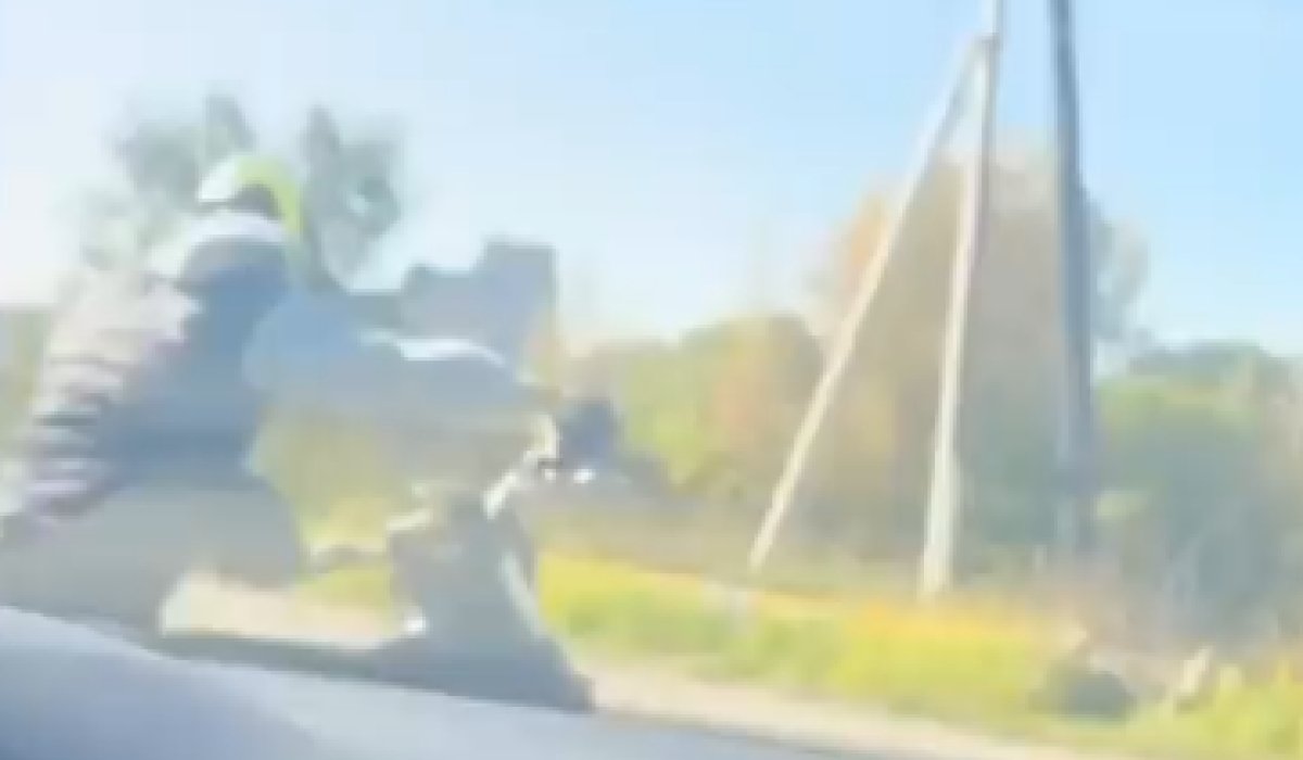 Фото: Стопкадр видео Госавтоинспекции Абакана