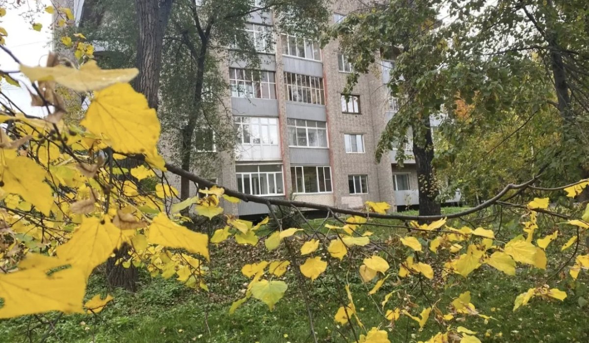 Фото: АДИ19