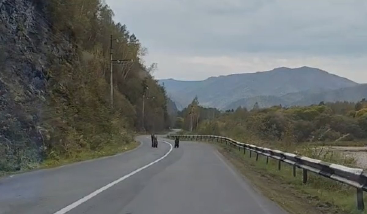 Фото: Стопкадр видео Абаза ПВА