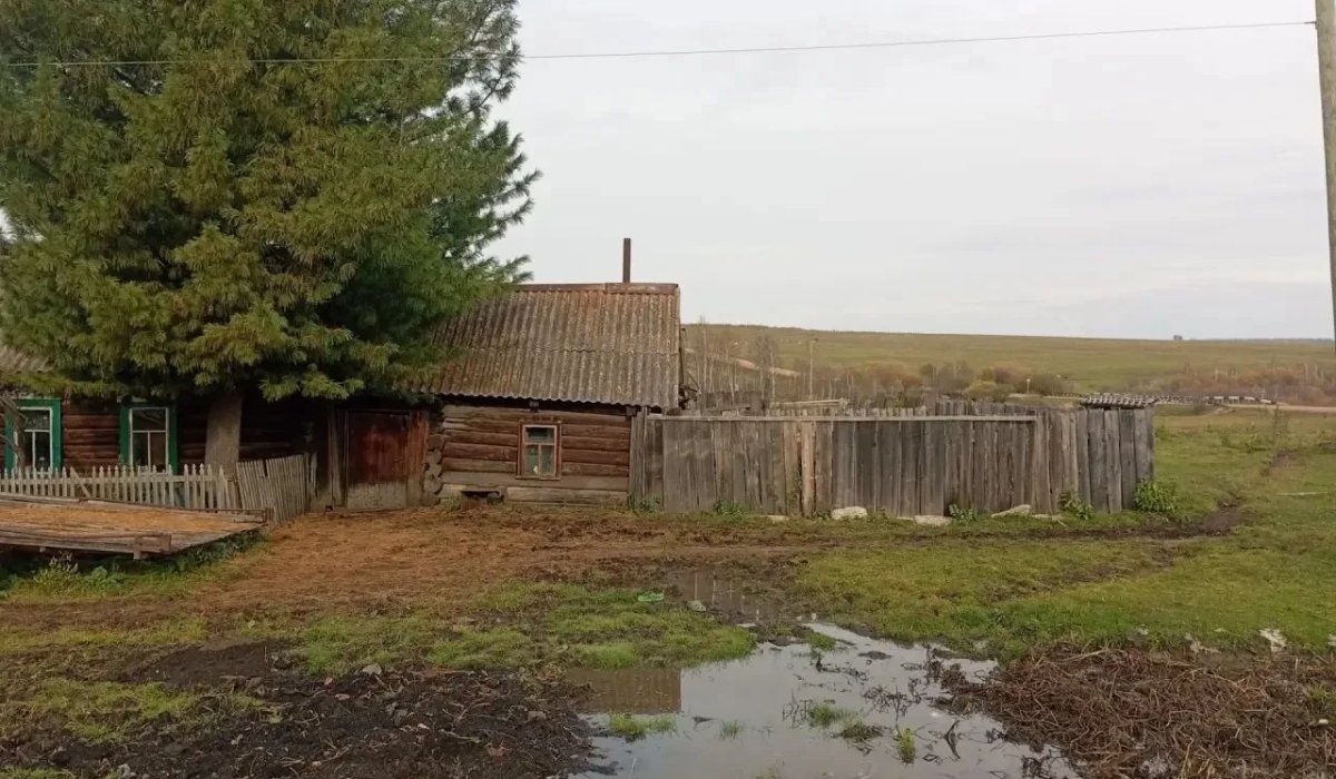 Фото: СУ СК России по Красноярскому краю и Хакасии 